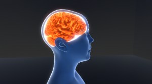 Animation of a whole brain instead of head