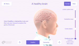 Screenshot of the application