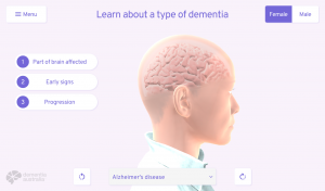 Screenshot of the application