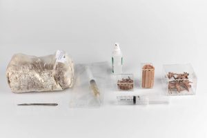 Paraphernalia for seeding 3D prints with mycelium
