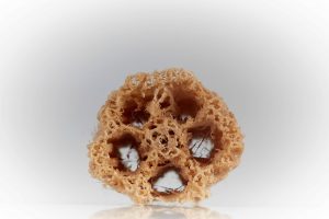 3D printed structure with sea sponge appearance