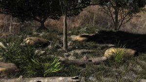 3D reconstruction of a lizard habitat