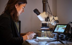 Lady sat a microscope