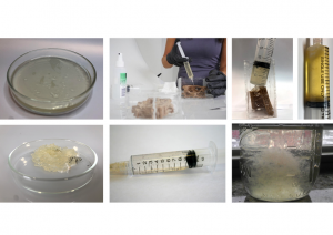 A series of pictures showing the preparation of the mycelium, and its injection into the 3D forms