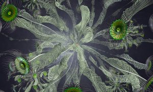 Evolved plant form based on the BP logo, part of the the Fifty Sisters series