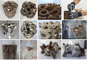 A series of images showing 3D printed structures with mycelium growth