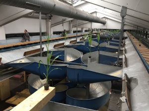 A series of corkscrew 'slides'