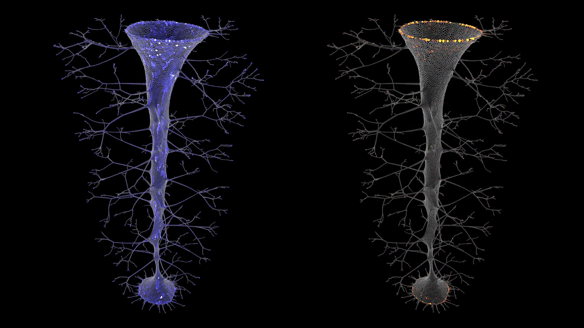 Exploring Emergence With Machine Learning - SensiLab