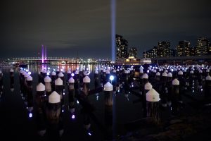 Holon by Jon McCormack