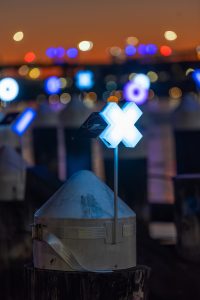 Holon by Jon McCormack